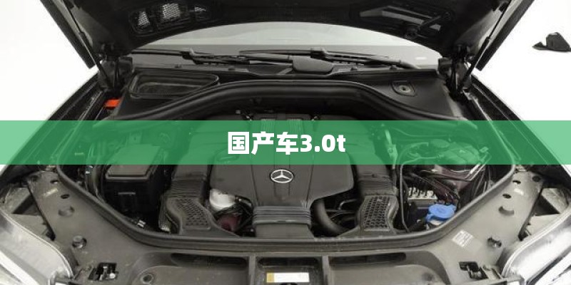 国产车3.0t