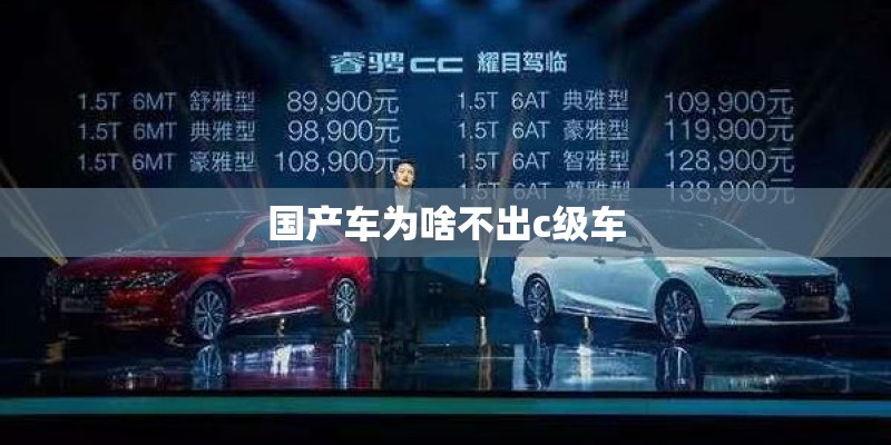 国产车为啥不出c级车
