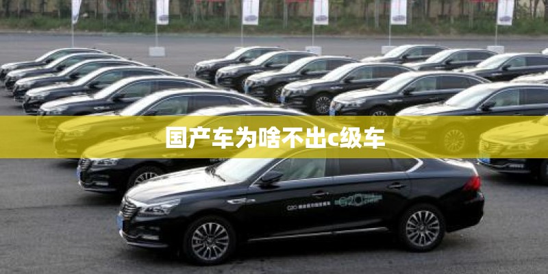 国产车为啥不出c级车 国产车为啥不出c级车