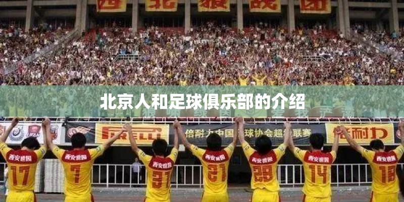 北京人和足球俱乐部的介绍