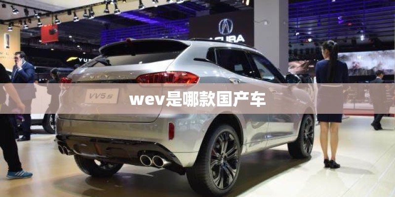 wev是哪款国产车