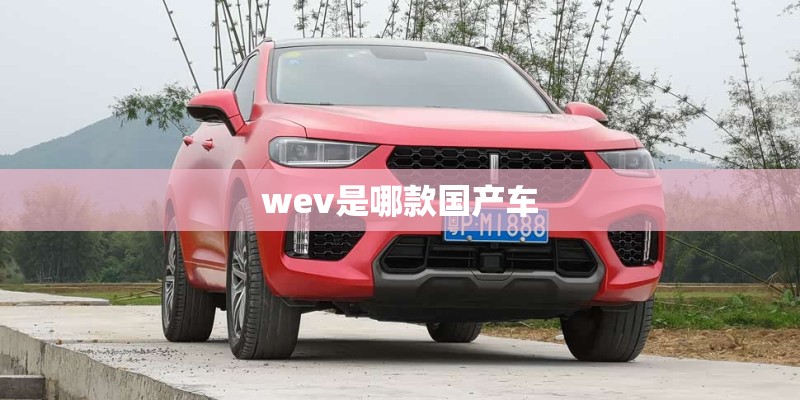 wev是哪款国产车