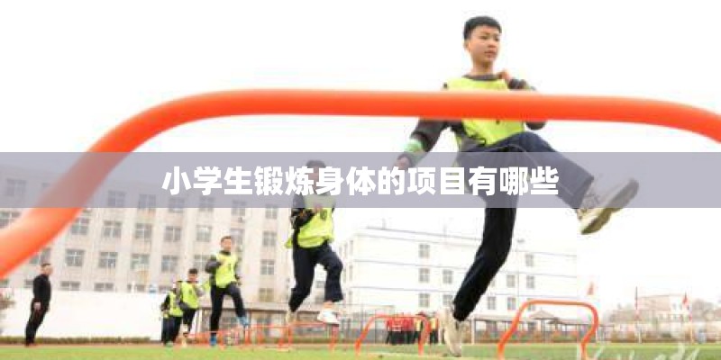 小学生锻炼身体的项目有哪些