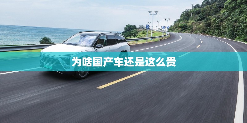 为啥国产车还是这么贵