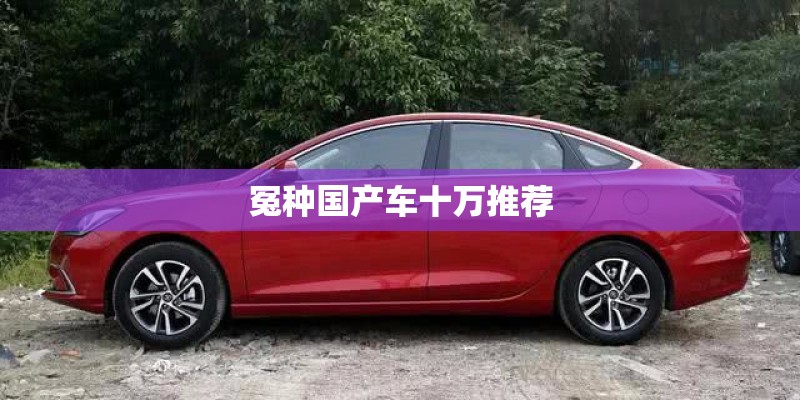 冤种国产车十万推荐 冤种国产车十万推荐