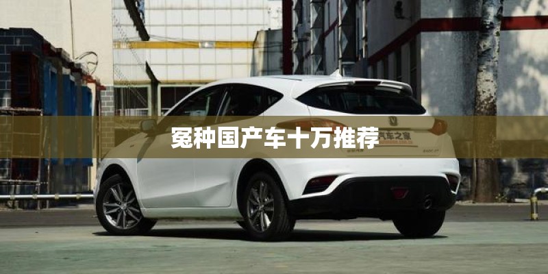 冤种国产车十万推荐 冤种国产车十万推荐