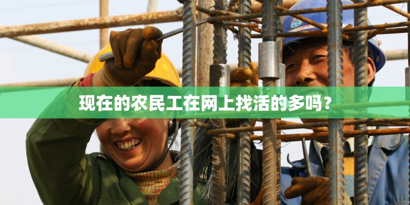 现在的农民工在网上找活的多吗？