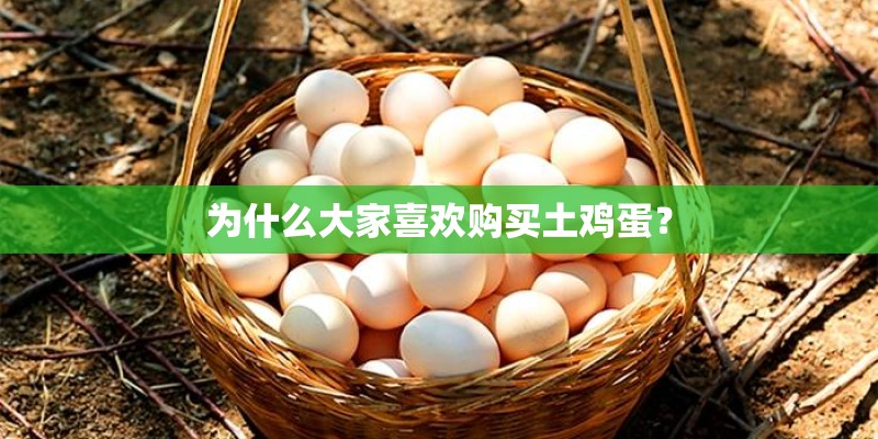 为什么大家喜欢购买土鸡蛋? 为什么大家喜欢购买土鸡蛋?
