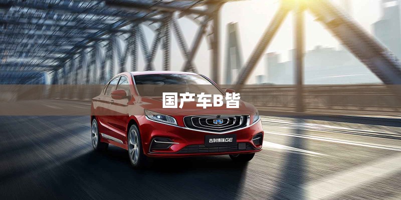 国产车B皆 国产车B皆