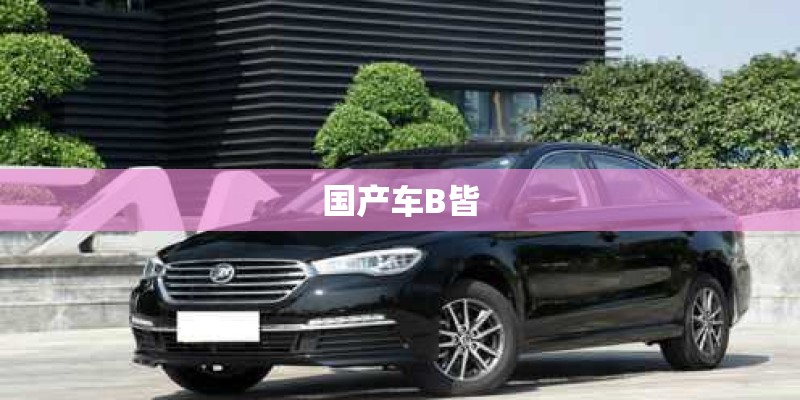 国产车B皆 国产车B皆
