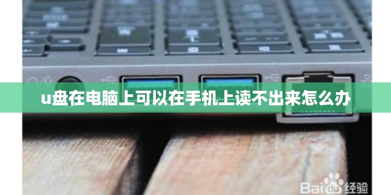 u盘在电脑上可以在手机上读不出来怎么办 u盘在电脑上可以在手机上读不出来怎么办