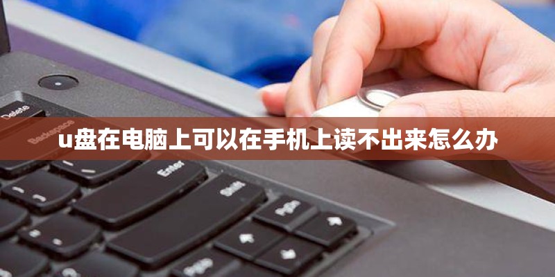 u盘在电脑上可以在手机上读不出来怎么办 u盘在电脑上可以在手机上读不出来怎么办