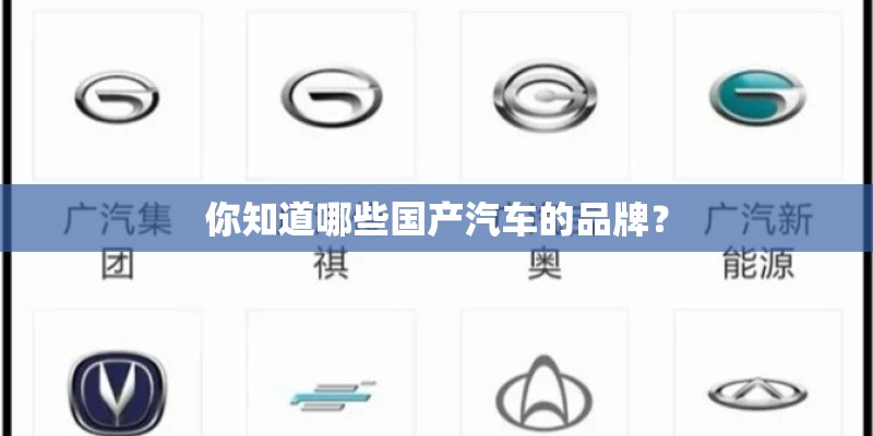 你知道哪些国产汽车的品牌？