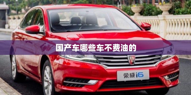国产车哪些车不费油的