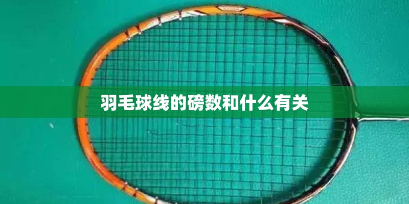 羽毛球线的磅数和什么有关