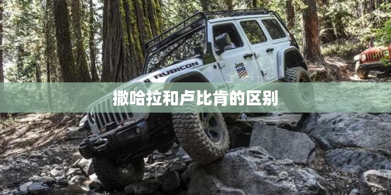 撒哈拉和卢比肯的区别