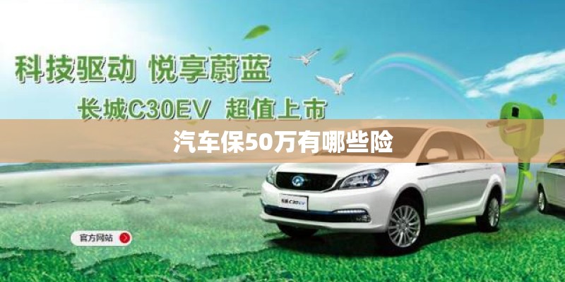 汽车保50万有哪些险