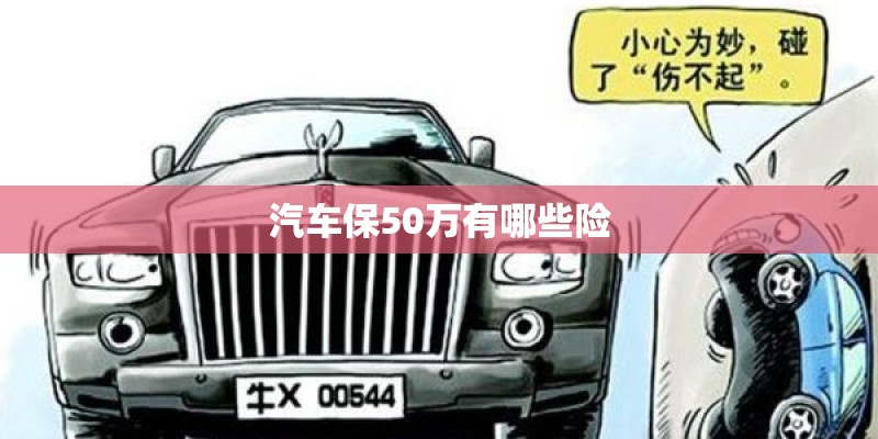 汽车保50万有哪些险