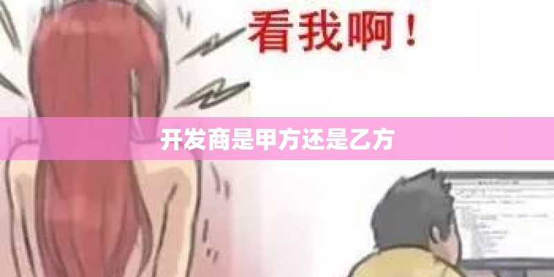 开发商是甲方还是乙方