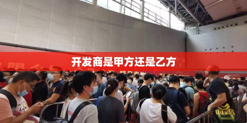 开发商是甲方还是乙方