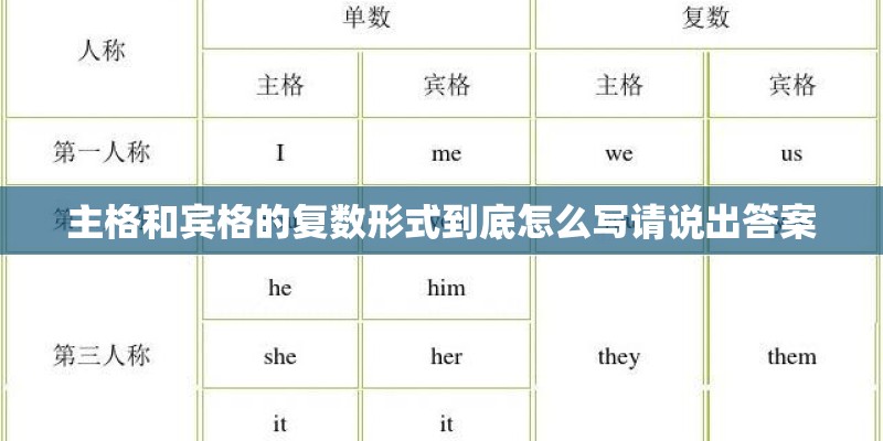 主格和宾格的复数形式到底怎么写请说出答案