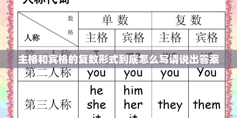 主格和宾格的复数形式到底怎么写请说出答案 主格和宾格的复数形式到底怎么写请说出答案