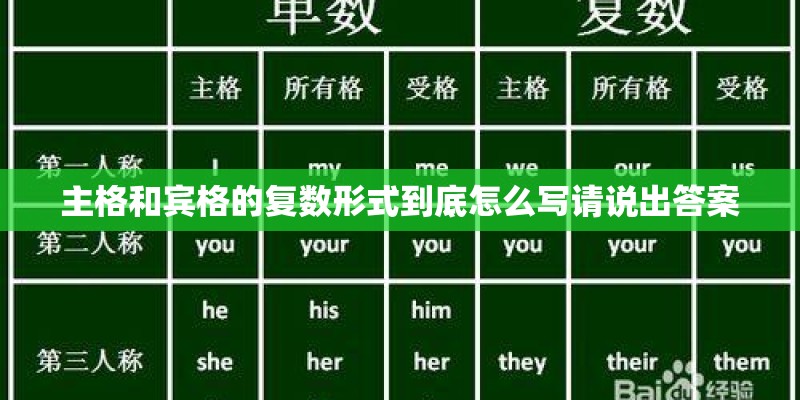 主格和宾格的复数形式到底怎么写请说出答案 主格和宾格的复数形式到底怎么写请说出答案