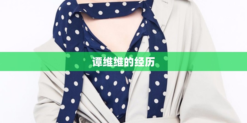 谭维维的经历
