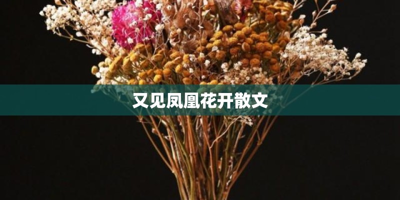 又见凤凰花开散文