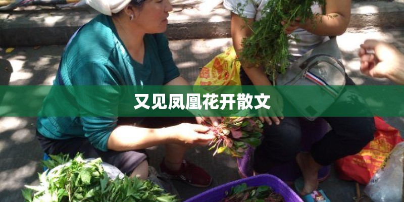 又见凤凰花开散文 又见凤凰花开散文