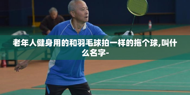 老年人健身用的和羽毛球拍一样的拖个球,叫什么名字-