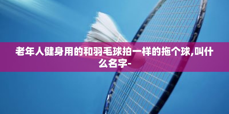 老年人健身用的和羽毛球拍一样的拖个球,叫什么名字-