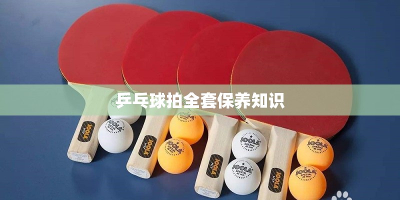乒乓球拍全套保养知识 乒乓球拍全套保养知识