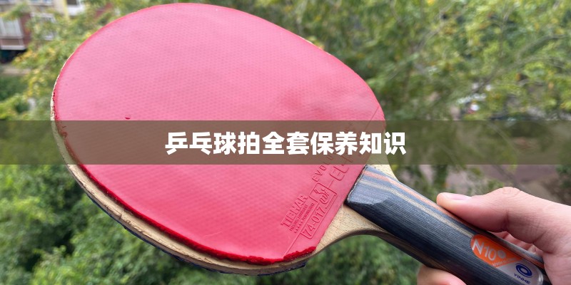 乒乓球拍全套保养知识 乒乓球拍全套保养知识