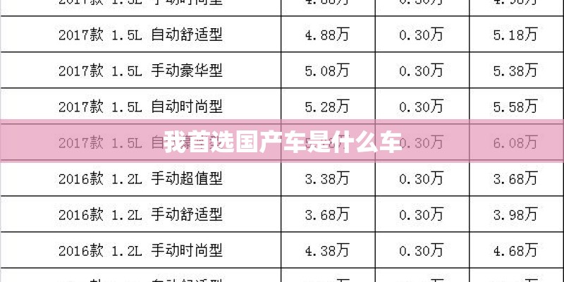 我首选国产车是什么车