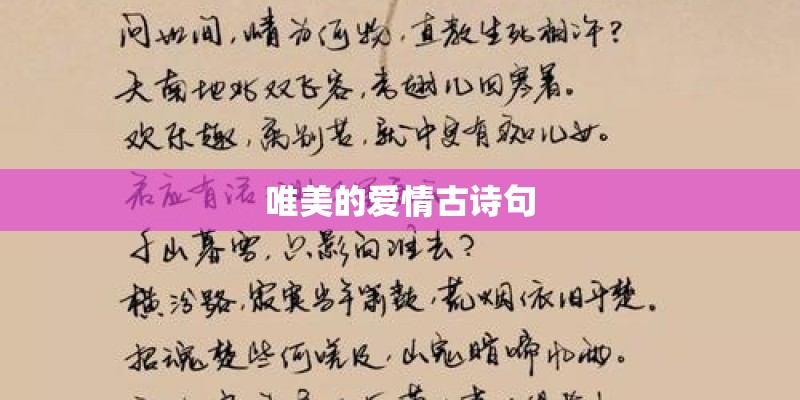 唯美的爱情古诗句
