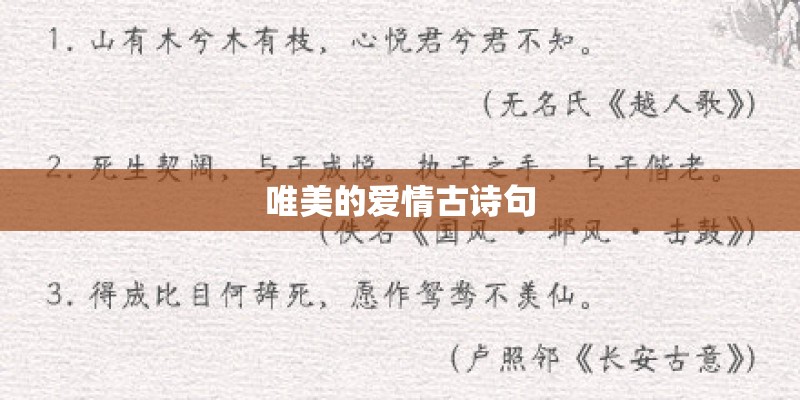 唯美的爱情古诗句