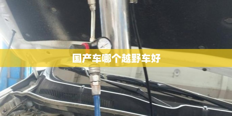 国产车哪个越野车好