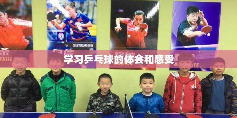 学习乒乓球的体会和感受