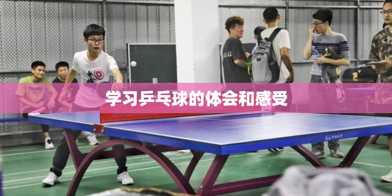 学习乒乓球的体会和感受 学习乒乓球的体会和感受
