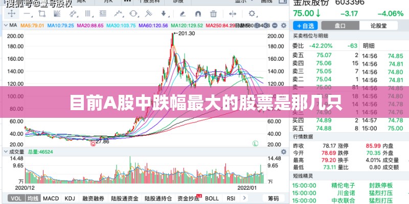 目前A股中跌幅最大的股票是那几只