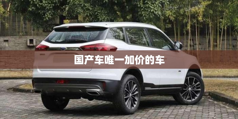 国产车唯一加价的车