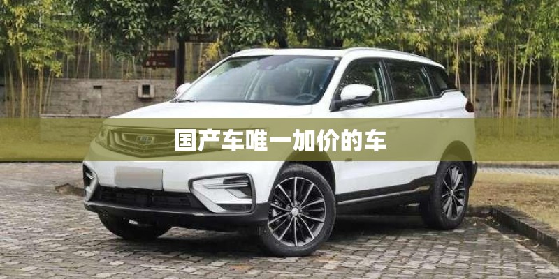 国产车唯一加价的车