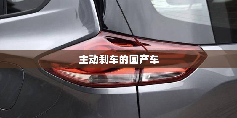 主动刹车的国产车