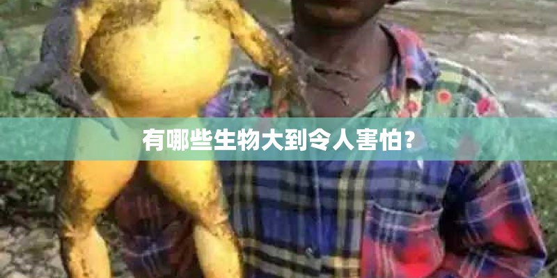 有哪些生物大到令人害怕? 有哪些生物大到令人害怕?