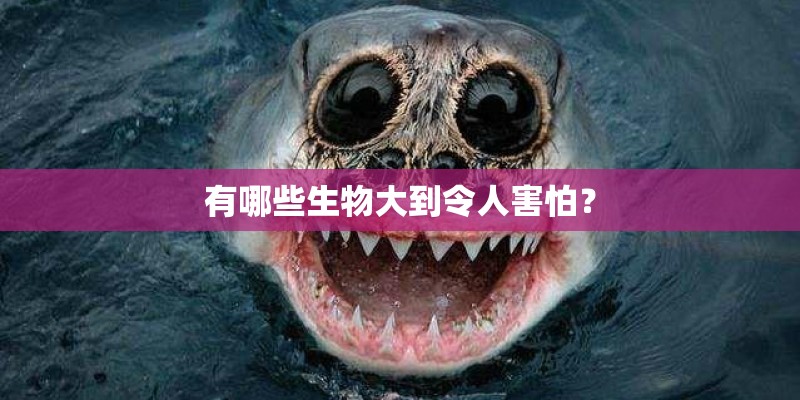 有哪些生物大到令人害怕? 有哪些生物大到令人害怕?