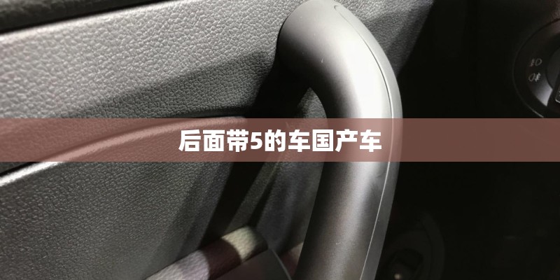 后面带5的车国产车