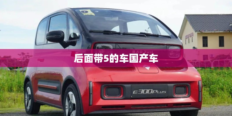 后面带5的车国产车