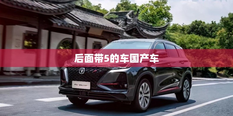后面带5的车国产车