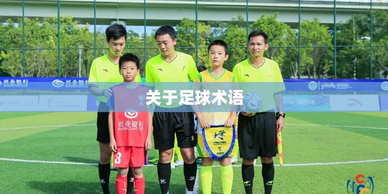 关于足球术语 关于足球术语